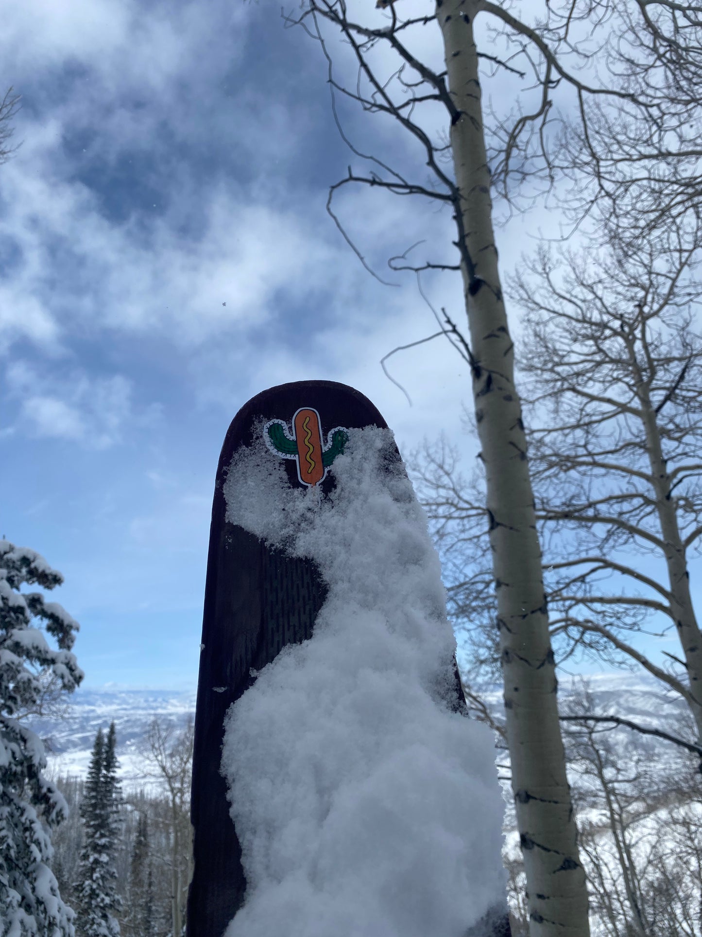 Fat ski with sticker against a snowy mountain landscape with trees